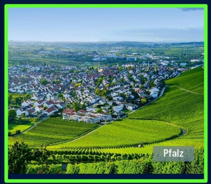 Ferienwohnung Forest & Wein Neustadt an der Weinstraße Rom bilde
